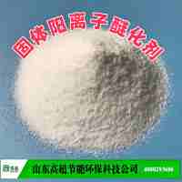  固体阳离子醚化剂 